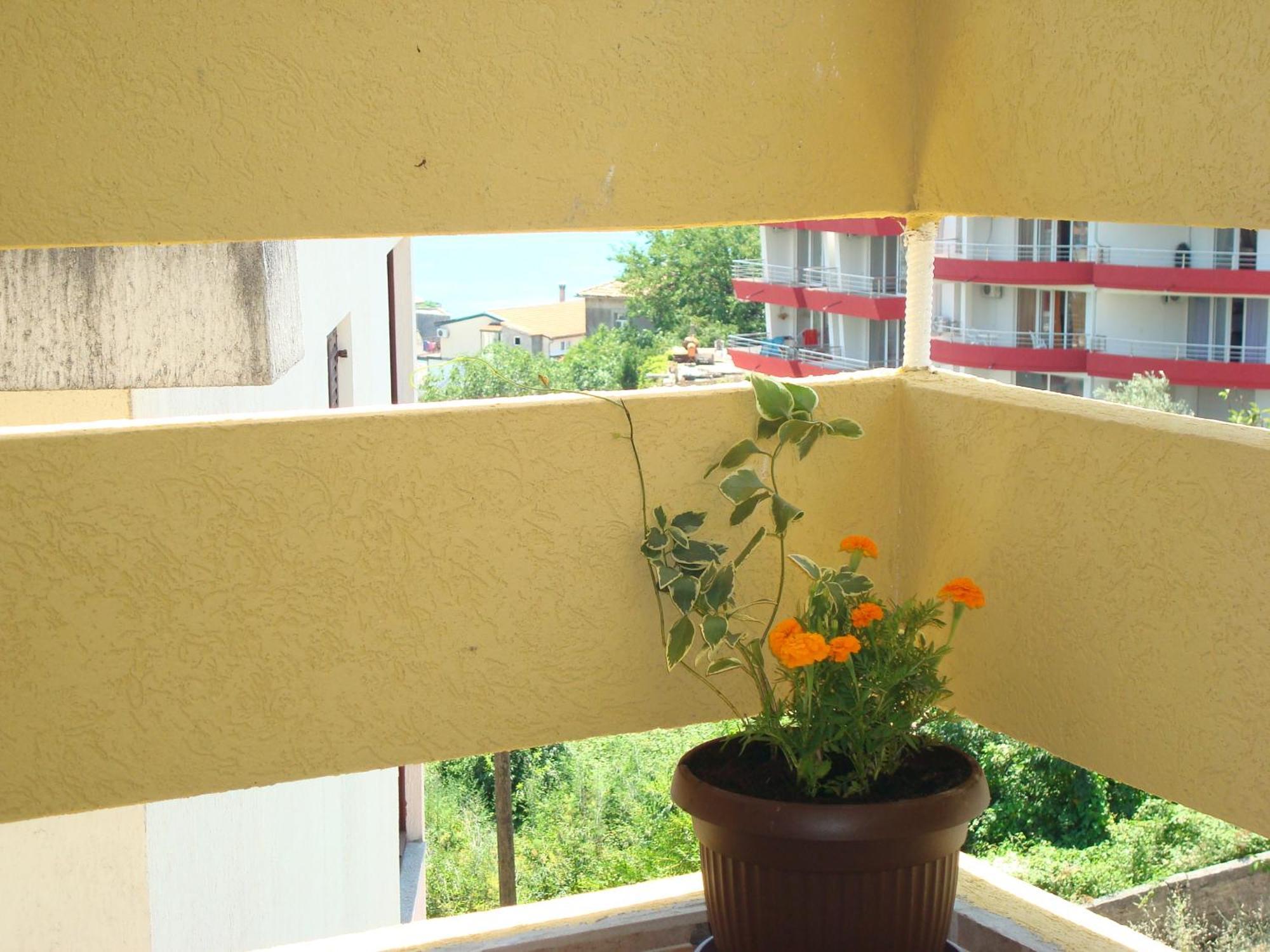 Apartments Cejovic Ulcinj Buitenkant foto